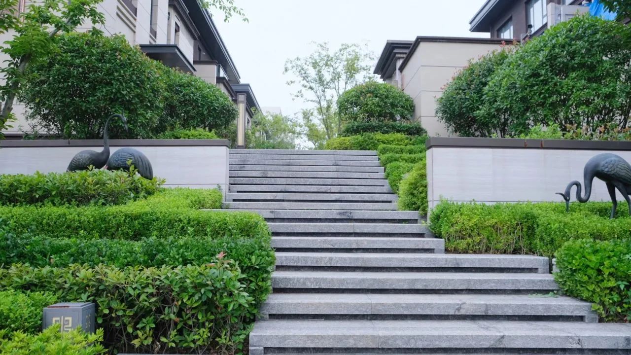 微信图片_20231227101421.jpg