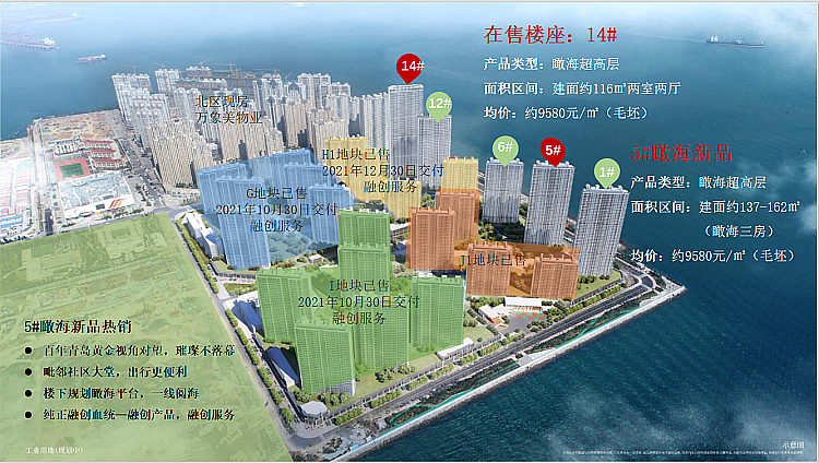 维多利亚湾_鸟瞰图_总平面.png