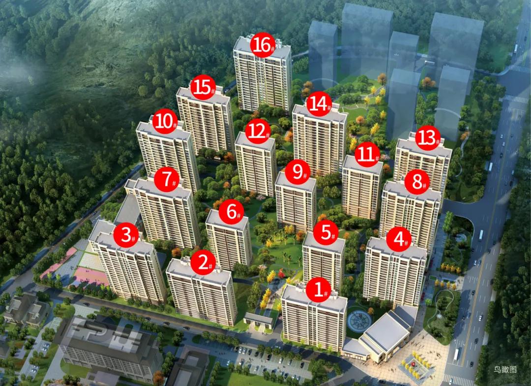 衡山学府_鸟瞰图_规划.jpg