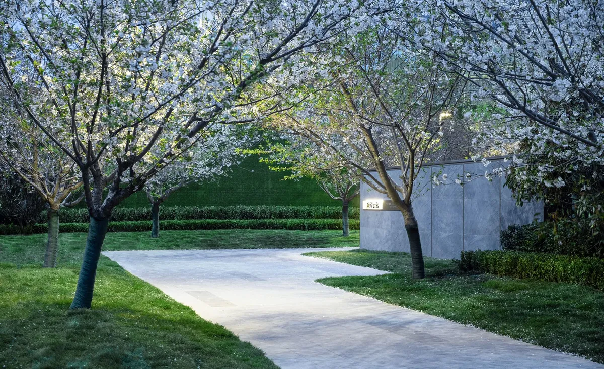 万科城四期四季_樱花景观道.jpg
