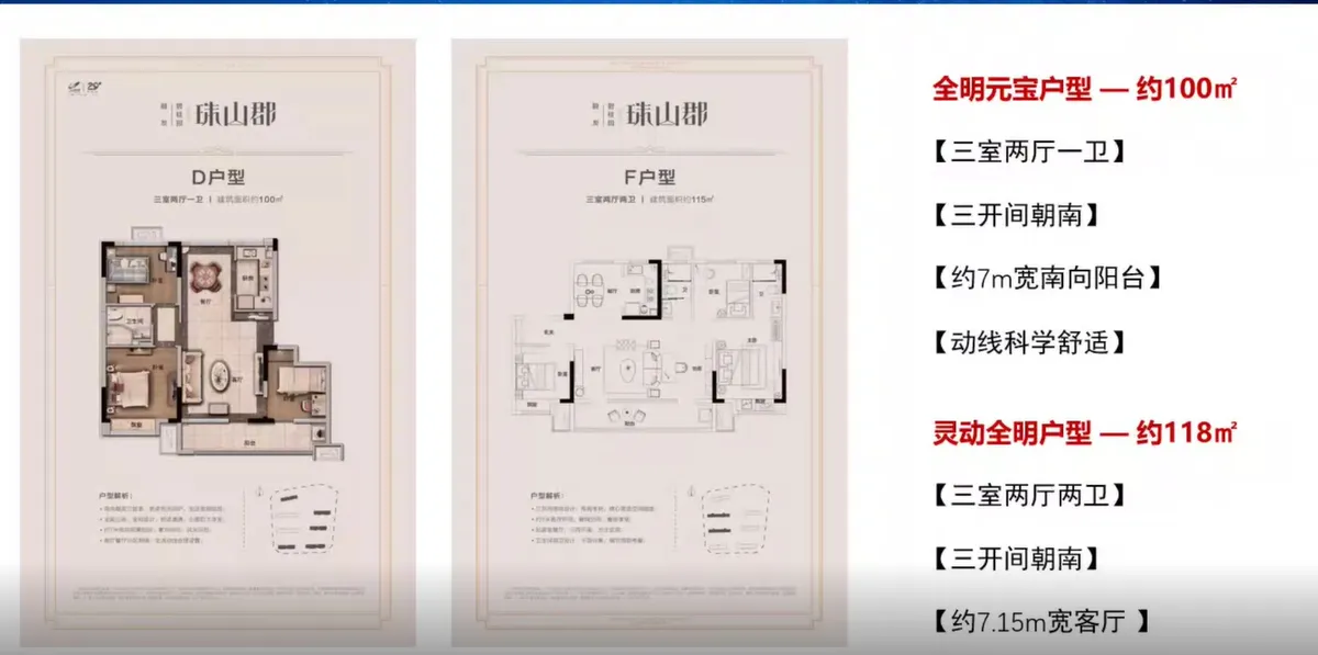 碧桂园珠山郡_户型图_D户型100㎡.jpg